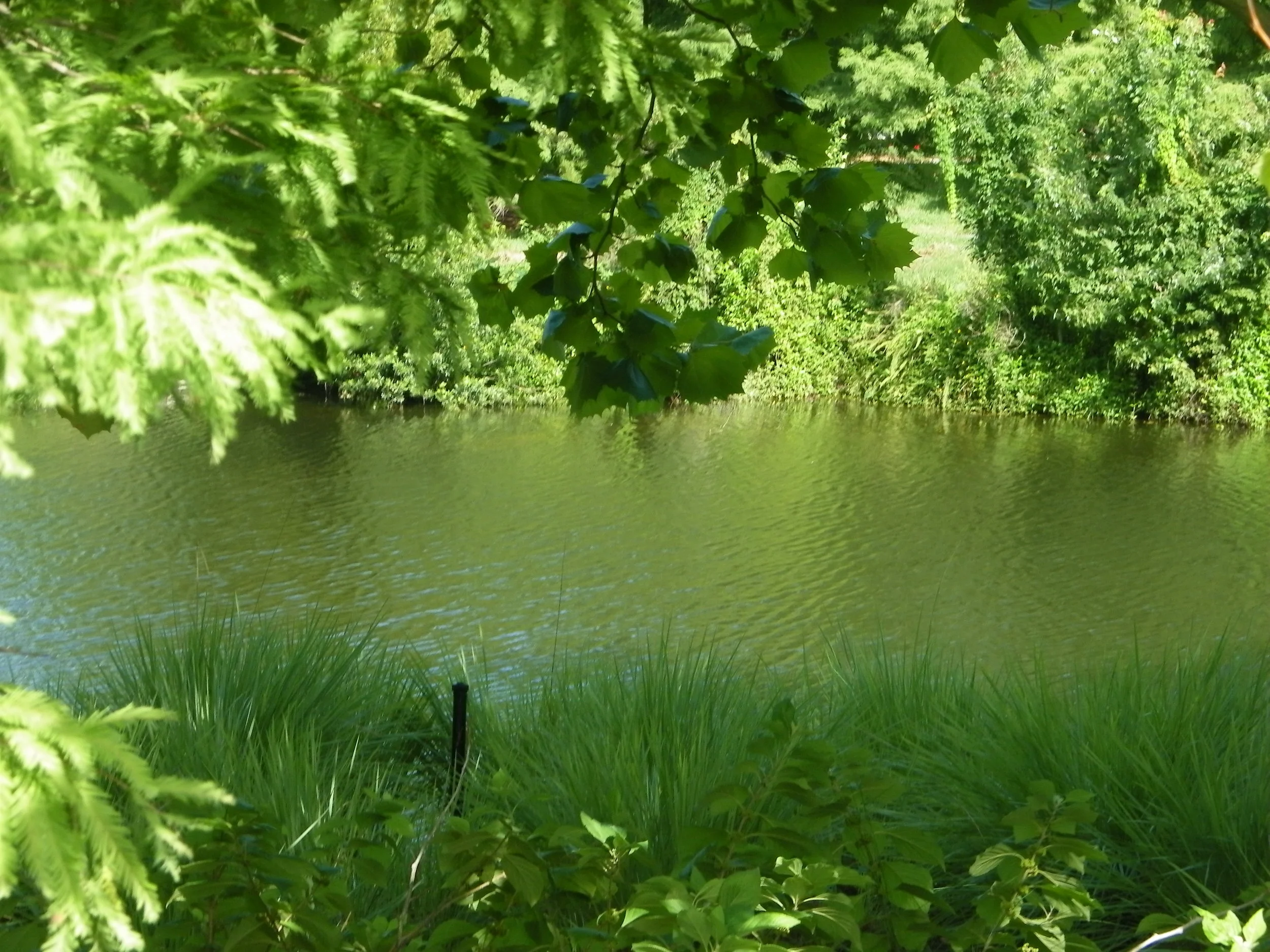 100_7285.JPG