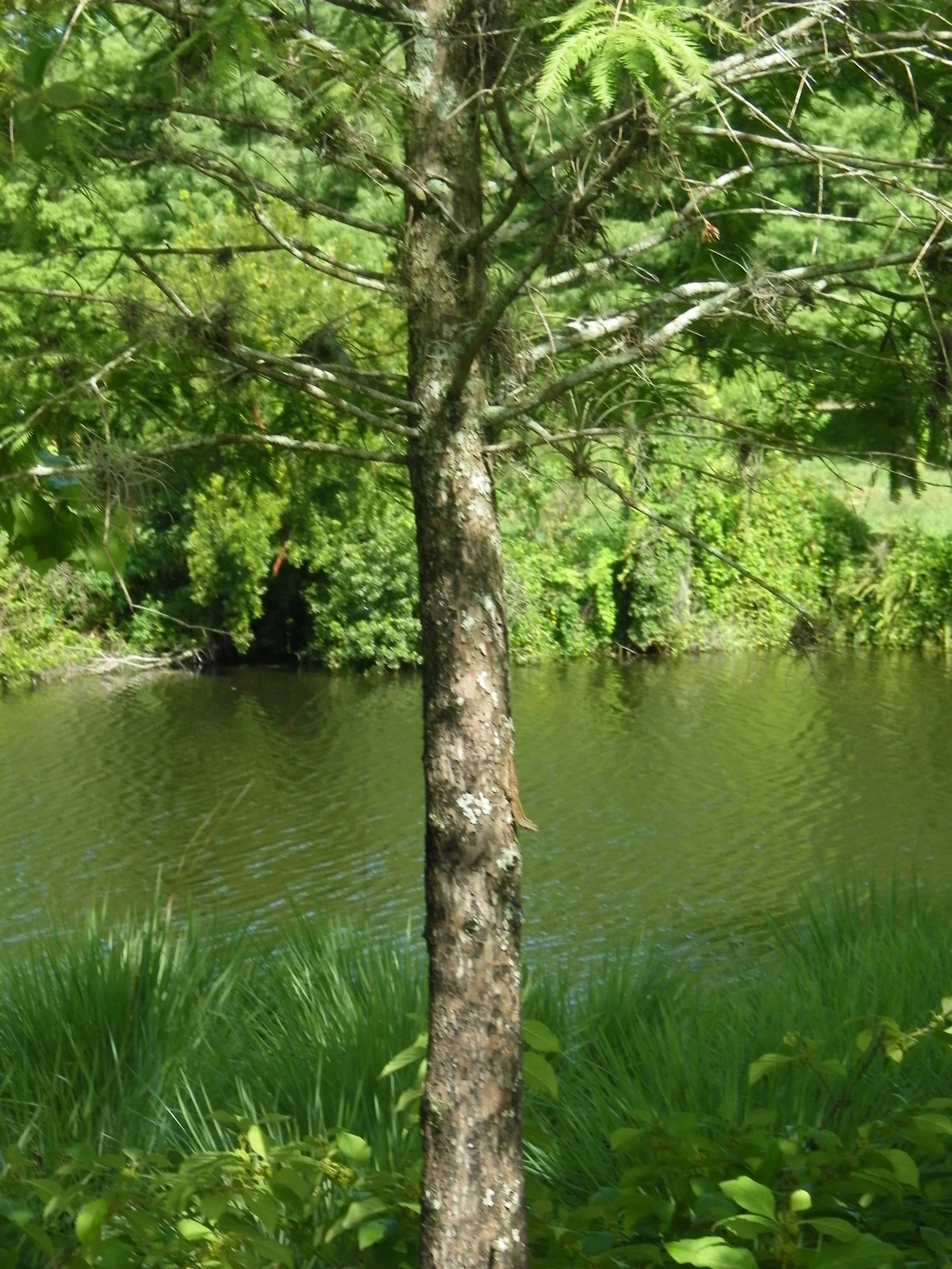 100_7286.JPG