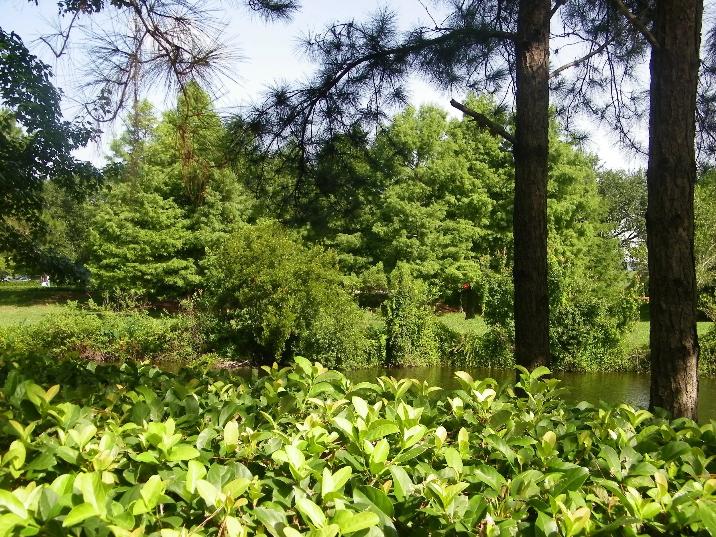 100_7289.JPG