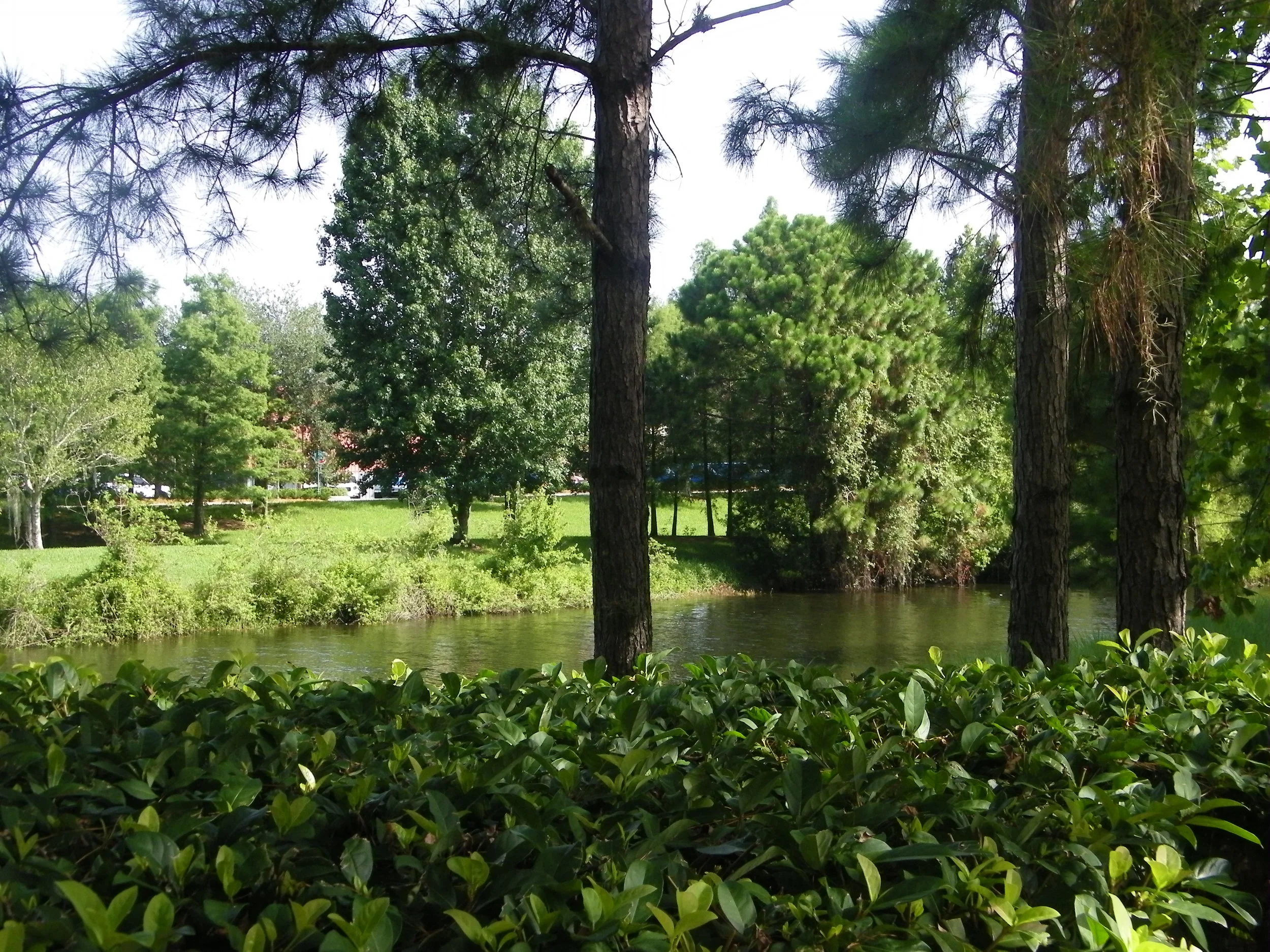 100_7290.JPG