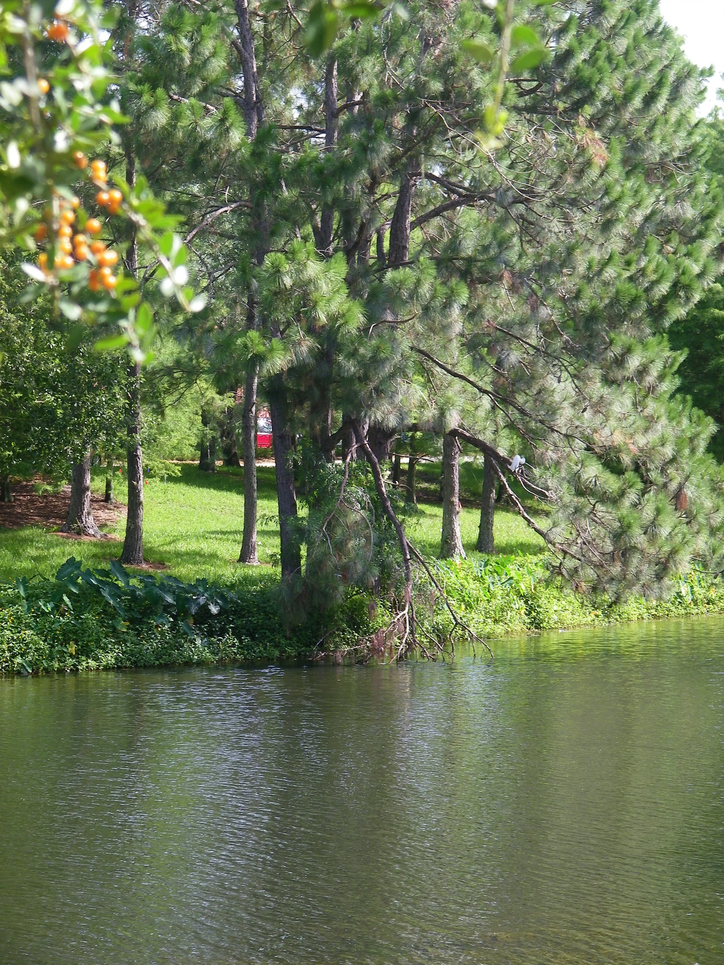 100_7302.JPG