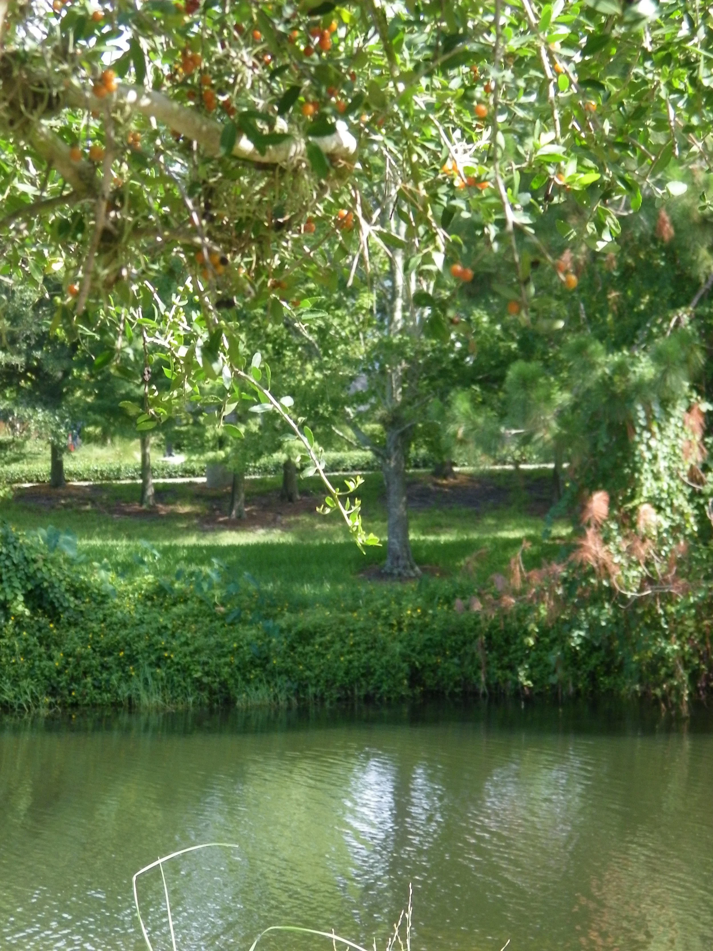 100_7303.JPG