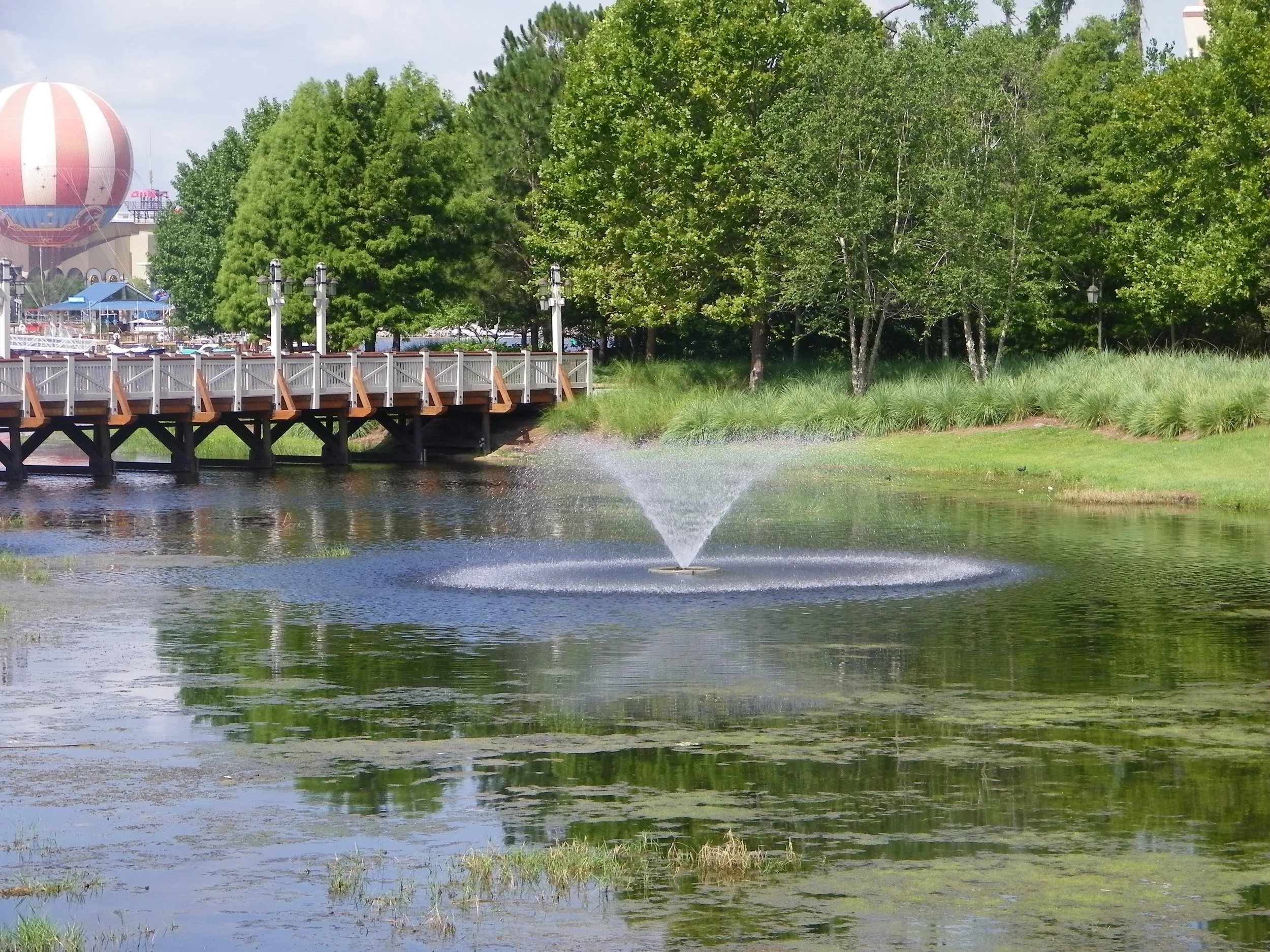 100_7345.JPG