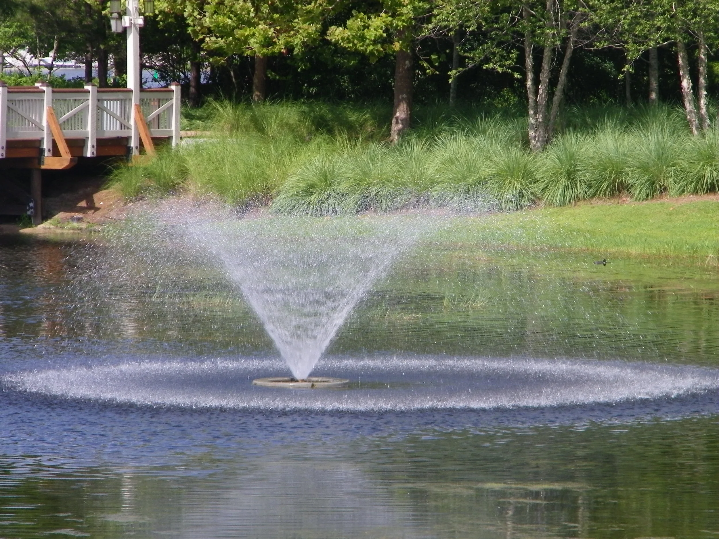 100_7346.JPG