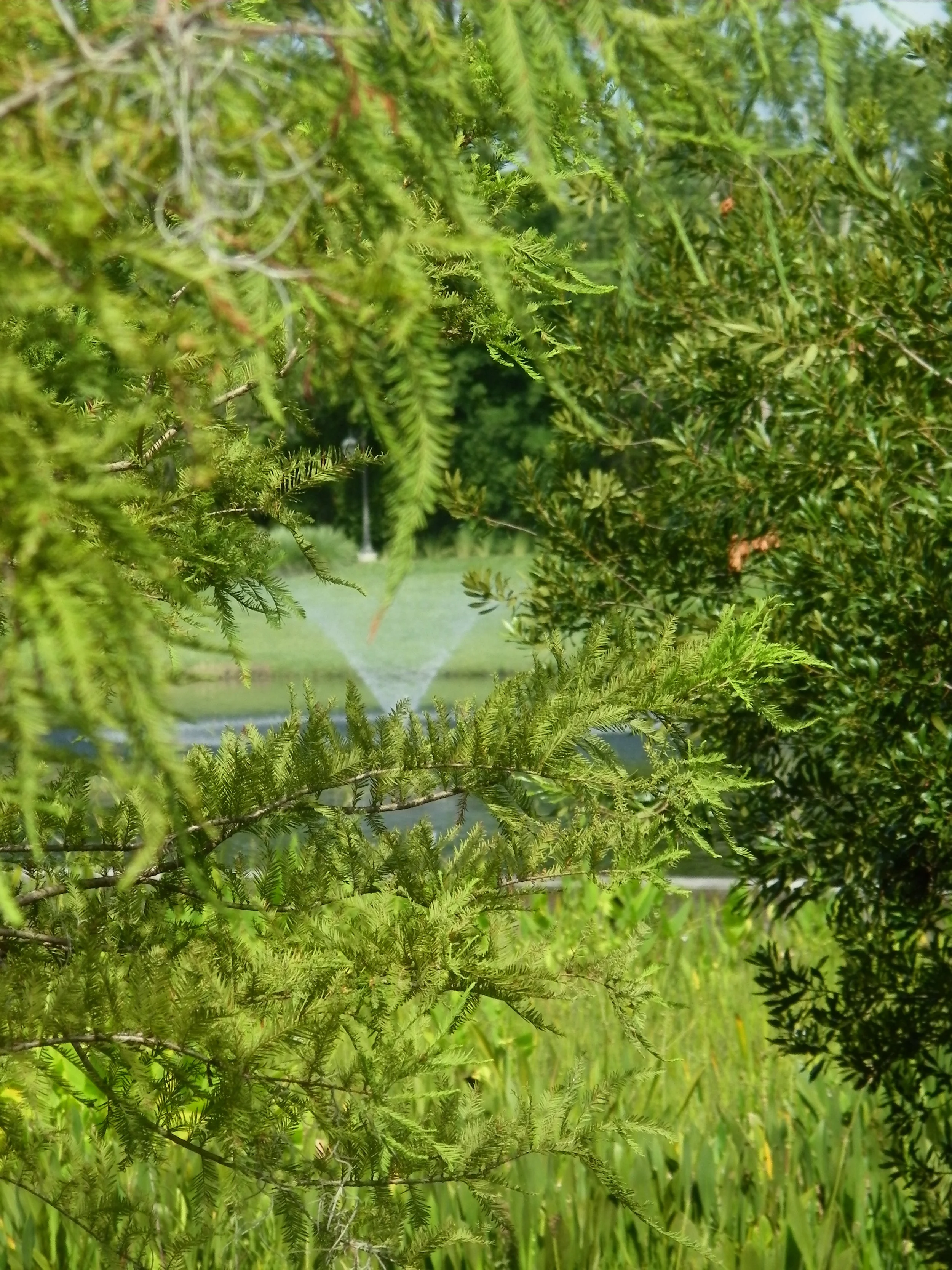 100_7350.JPG