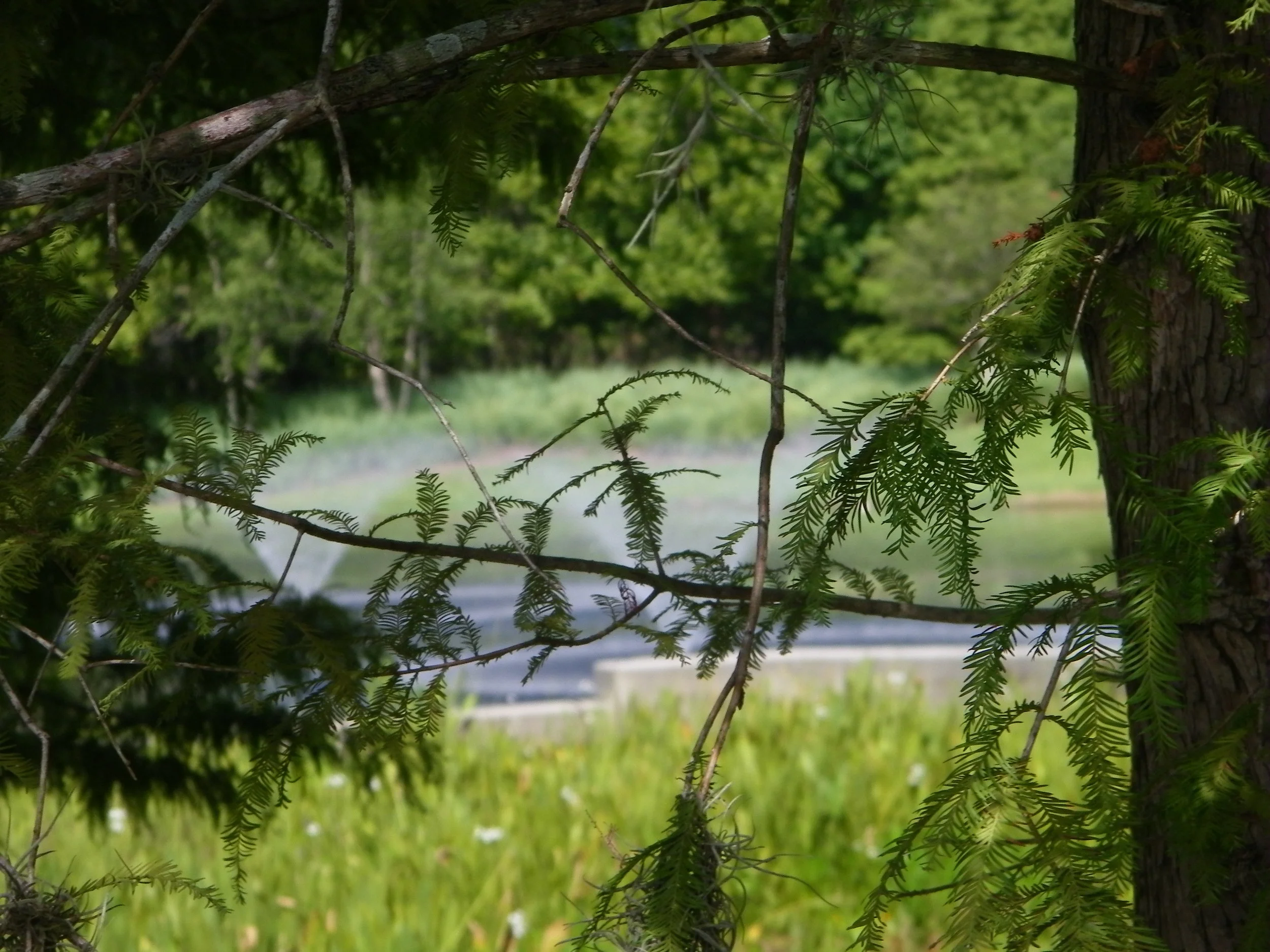 100_7352.JPG