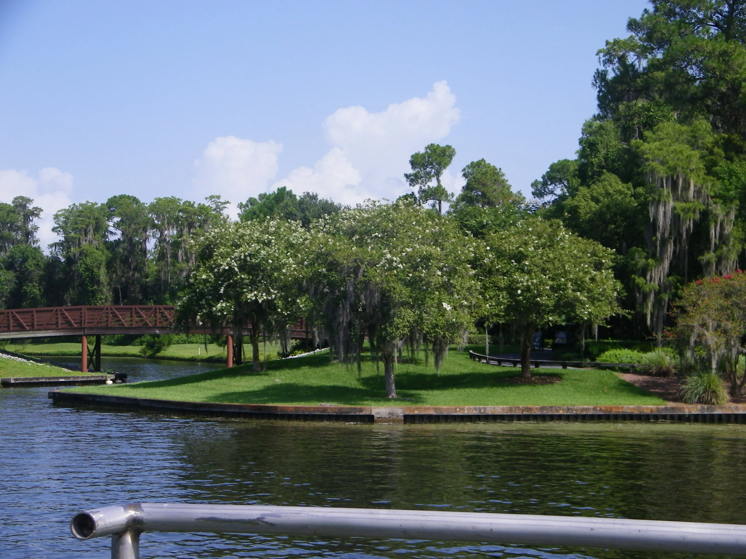 100_0037.JPG