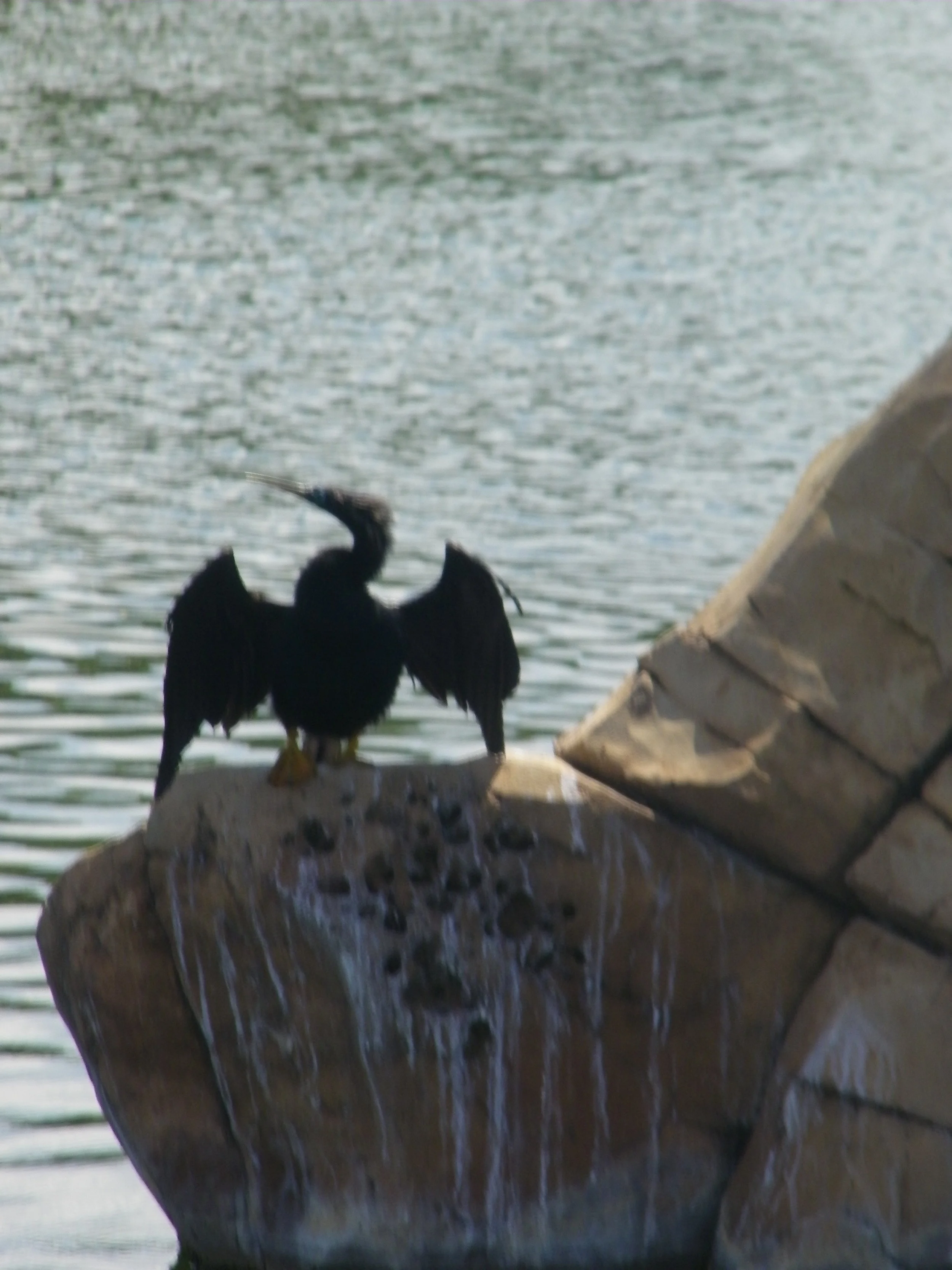 100_5587.JPG