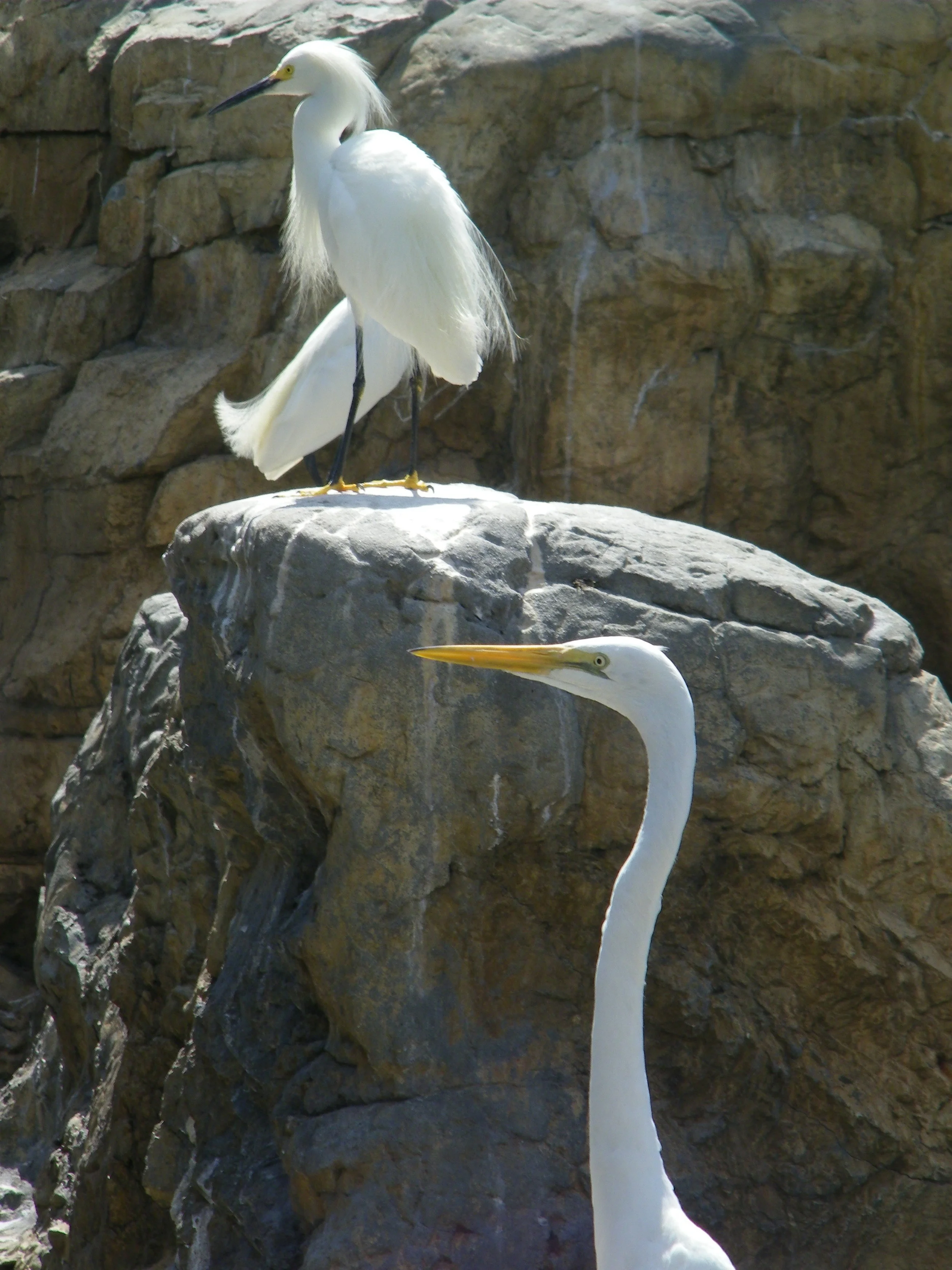 100_6164.JPG
