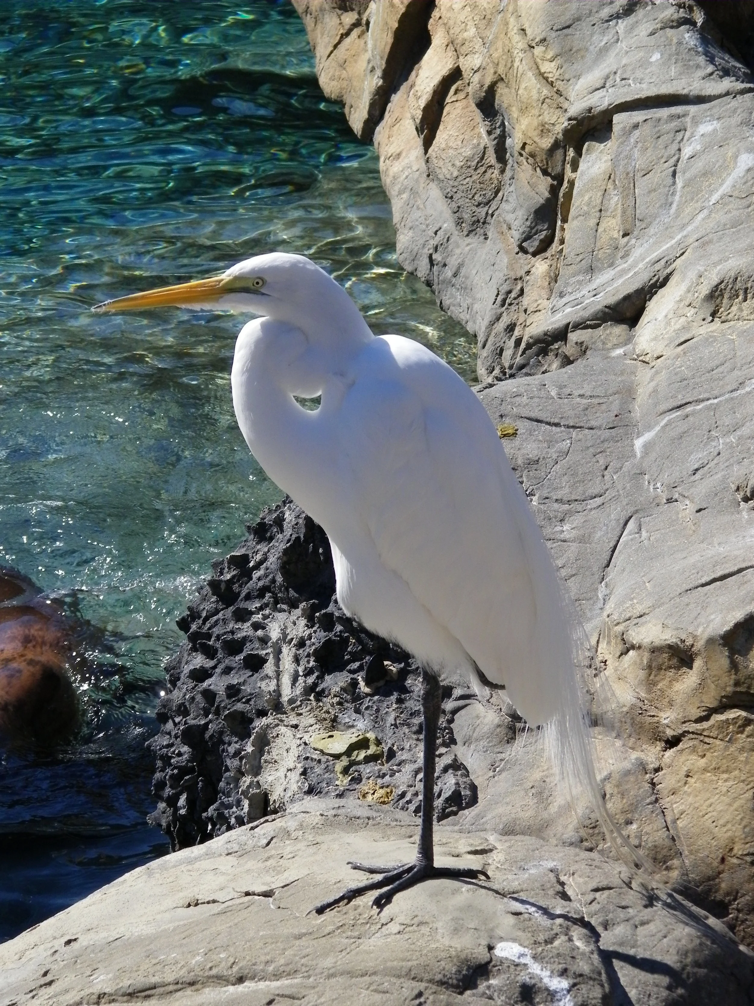 100_0184.JPG