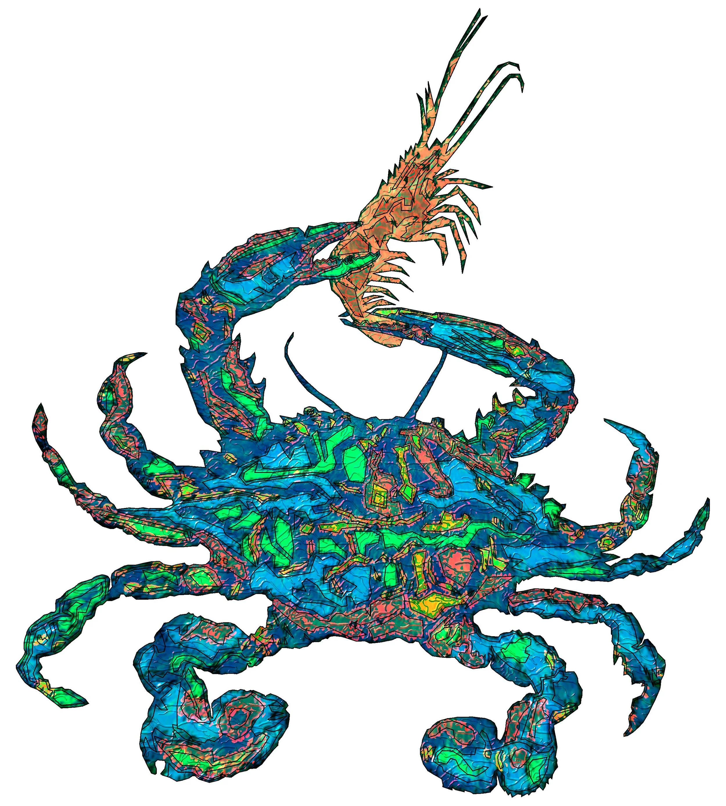 crab8.jpg