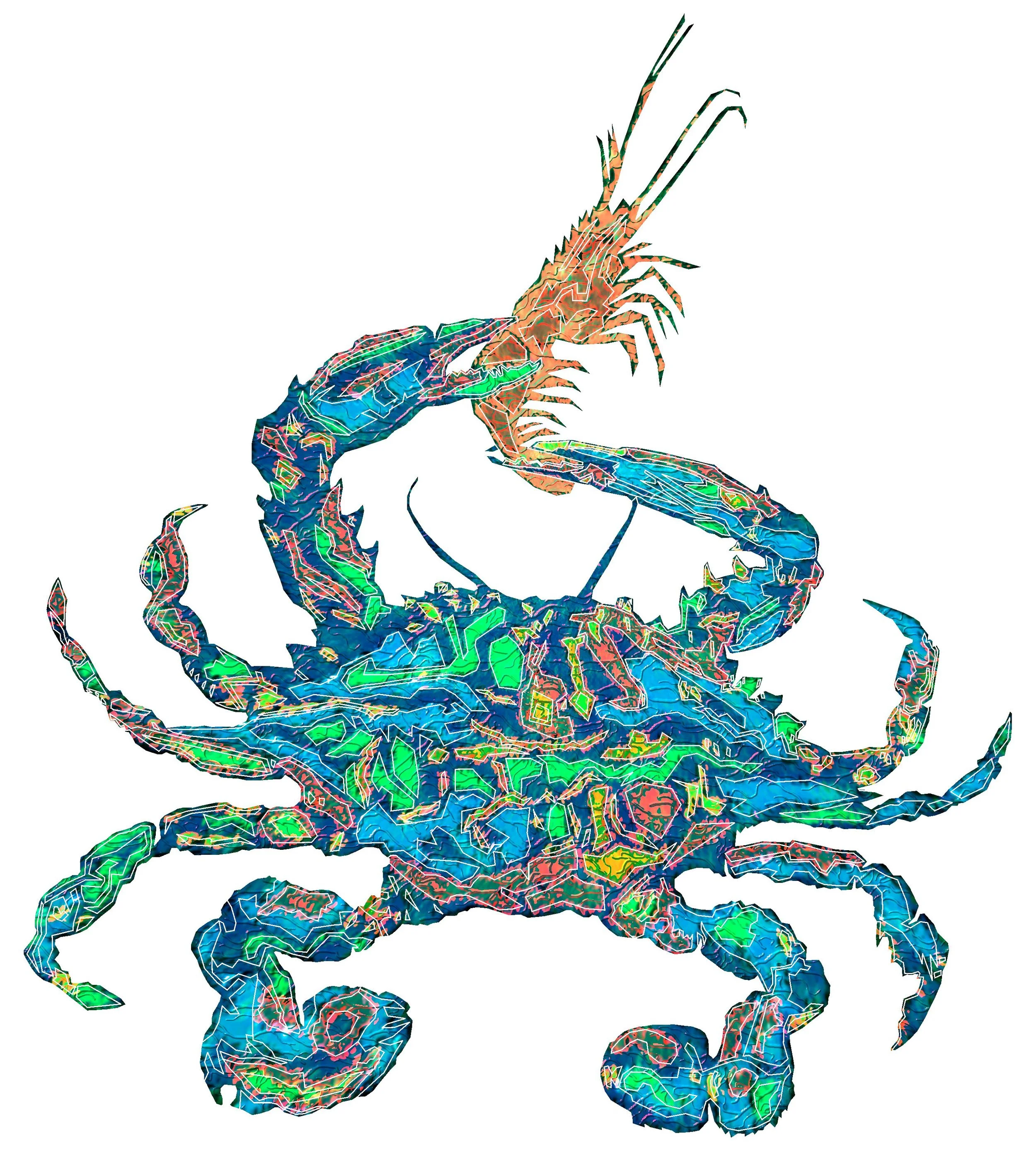crab9.jpg