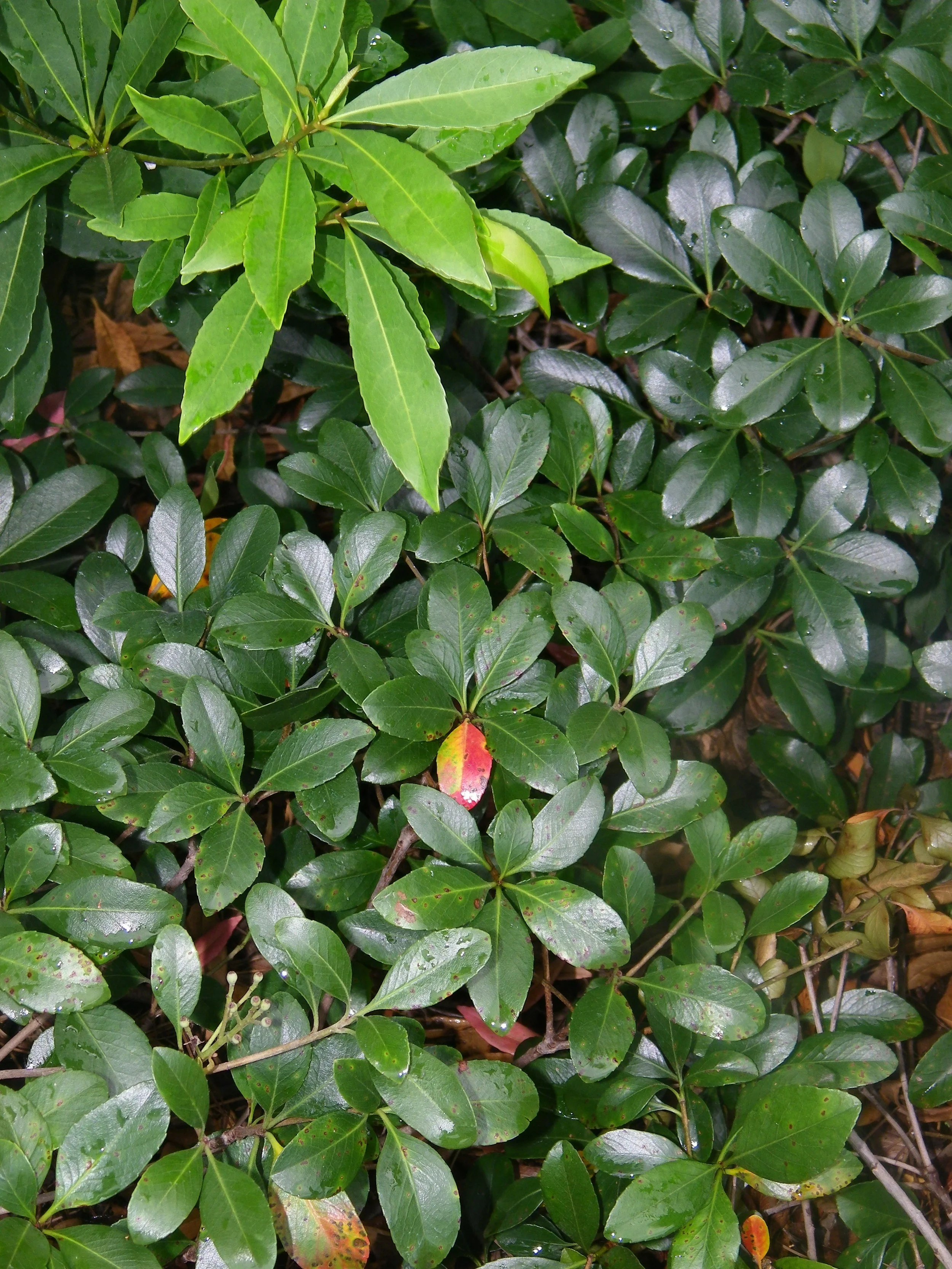 100_5303.JPG