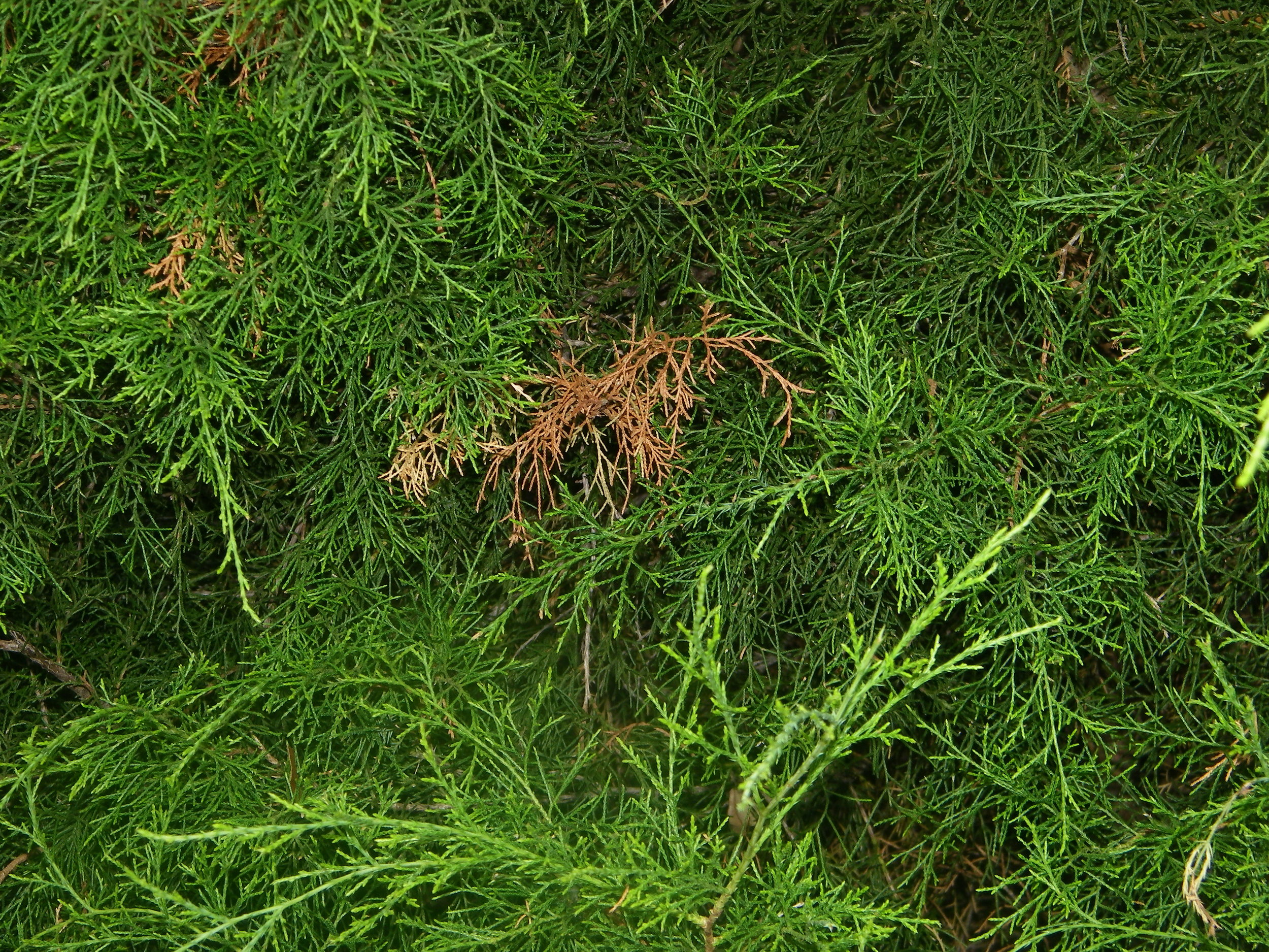 100_5302.JPG