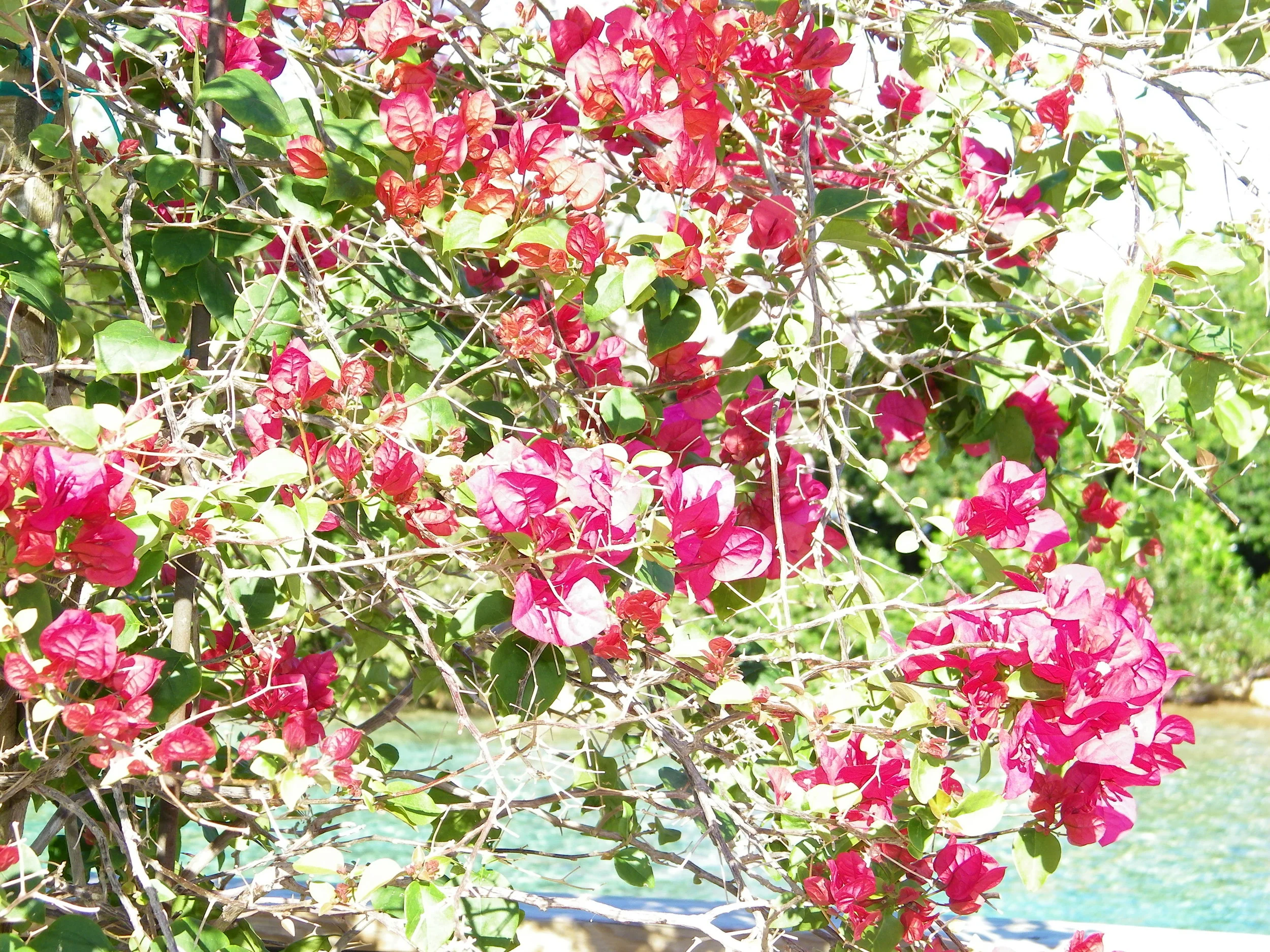 100_0026.JPG