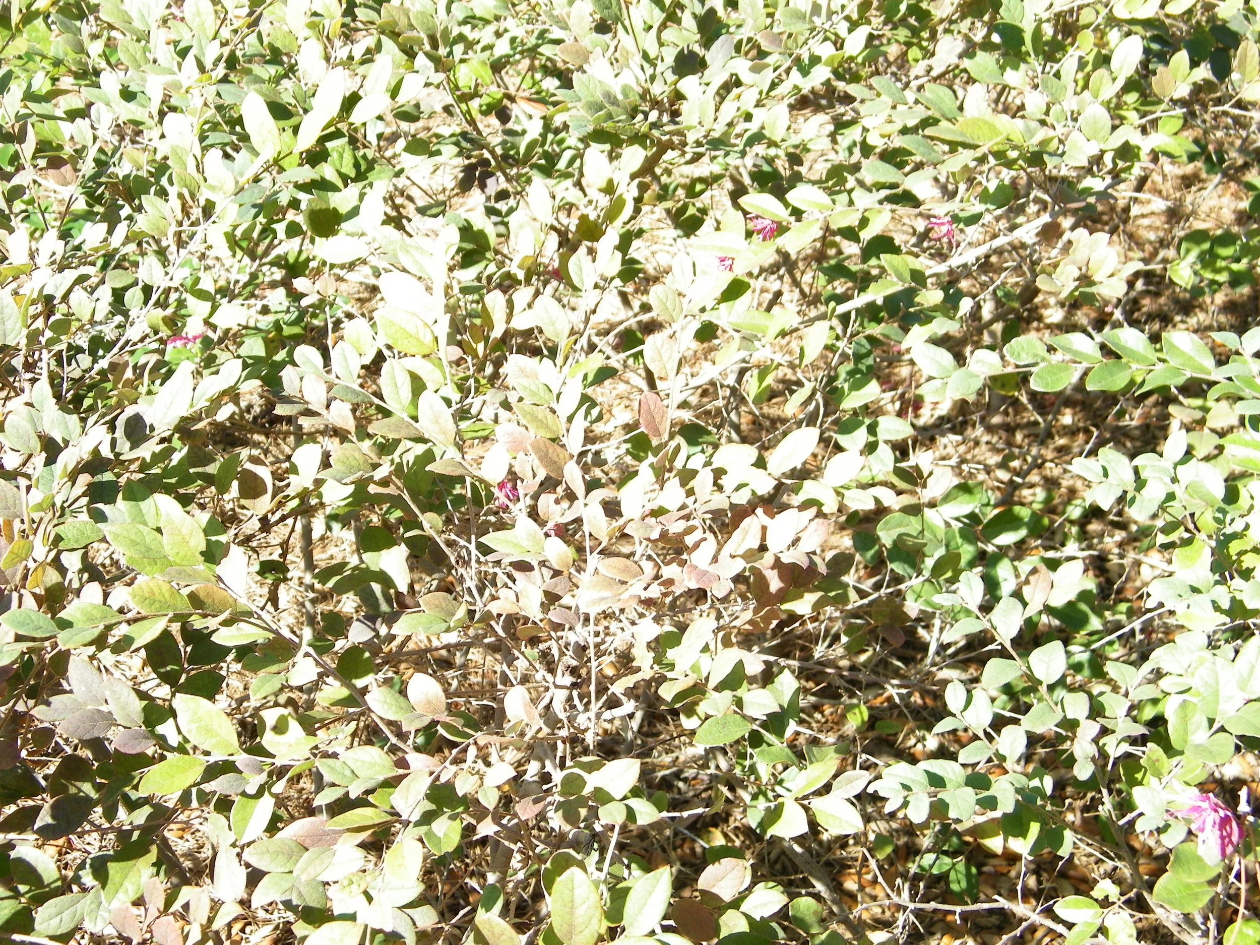 100_0133.JPG