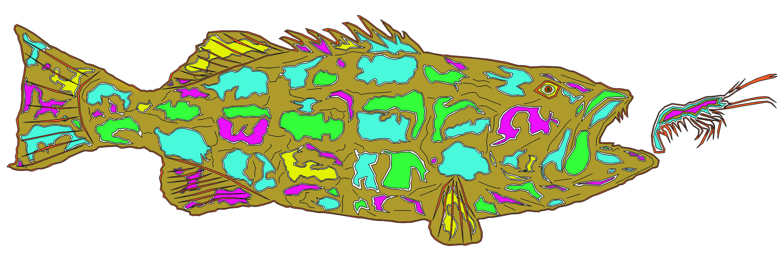 sea bass 5.jpg