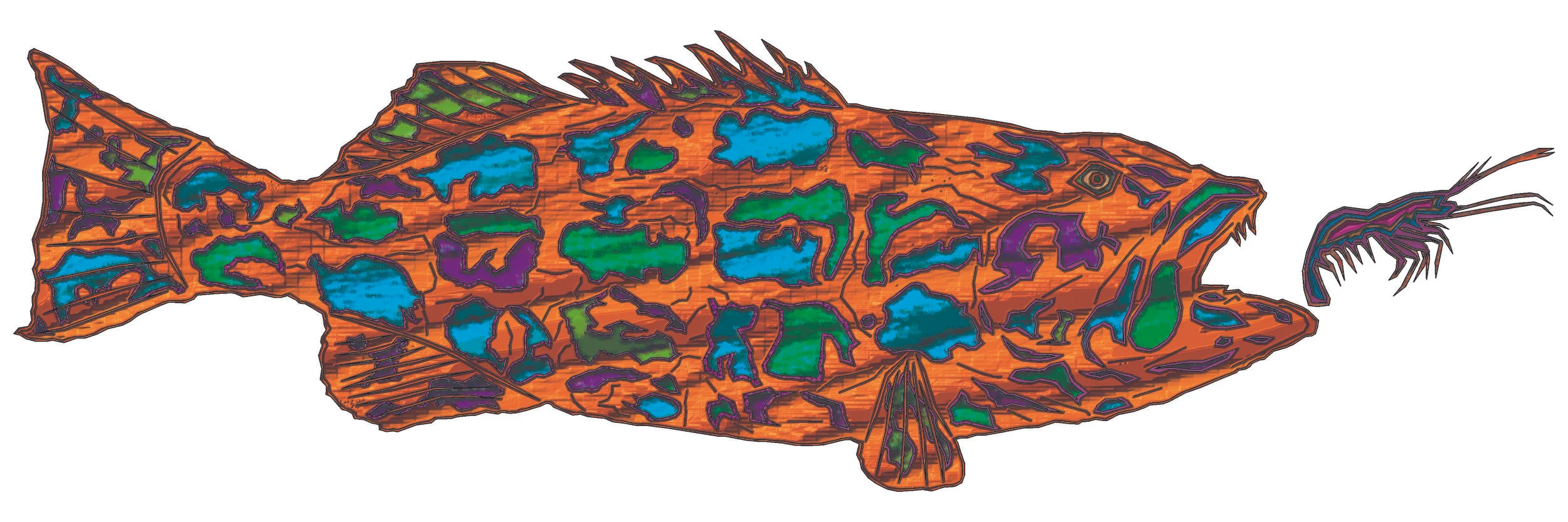 sea bass 9a.jpg
