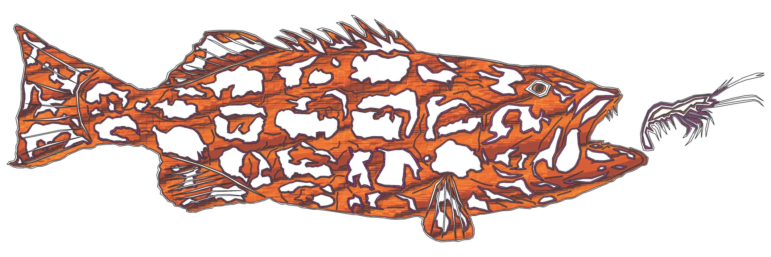 sea bass 10a.jpg