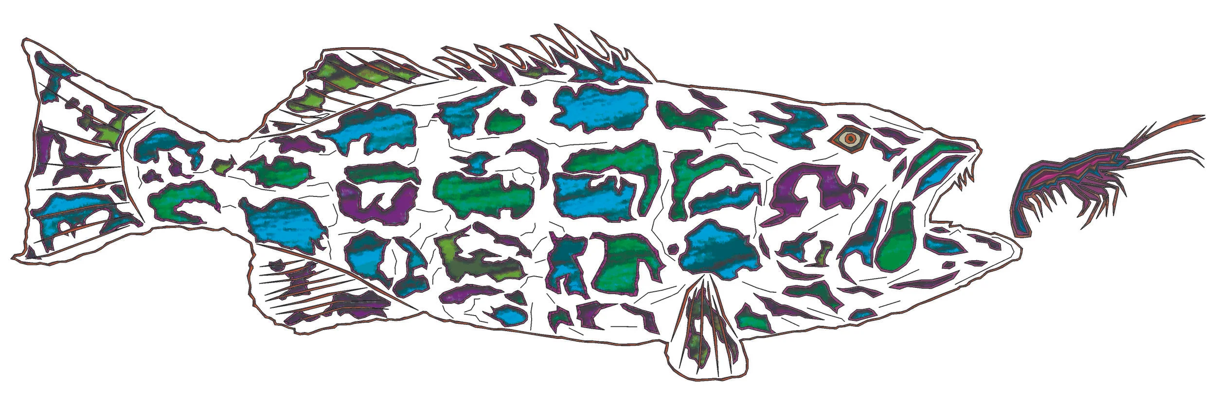 sea bass 13a.jpg