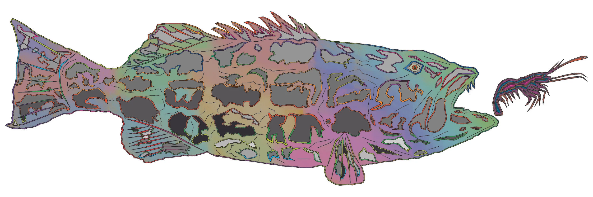 sea bass 20.jpg