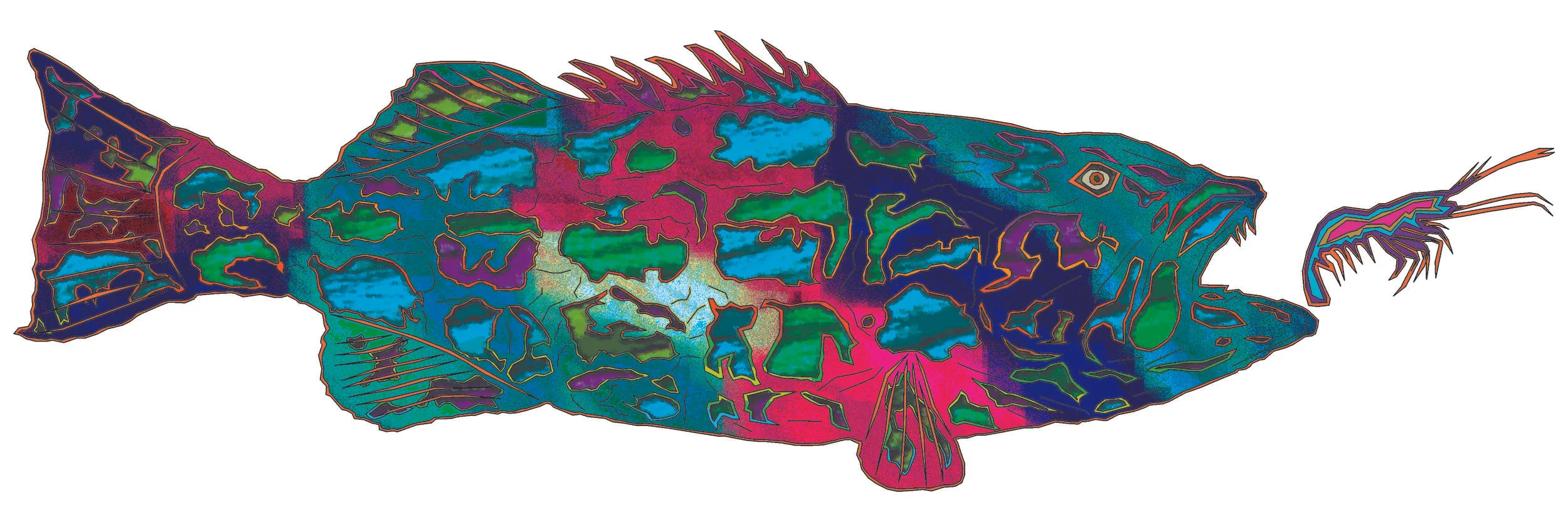 sea bass 28.jpg