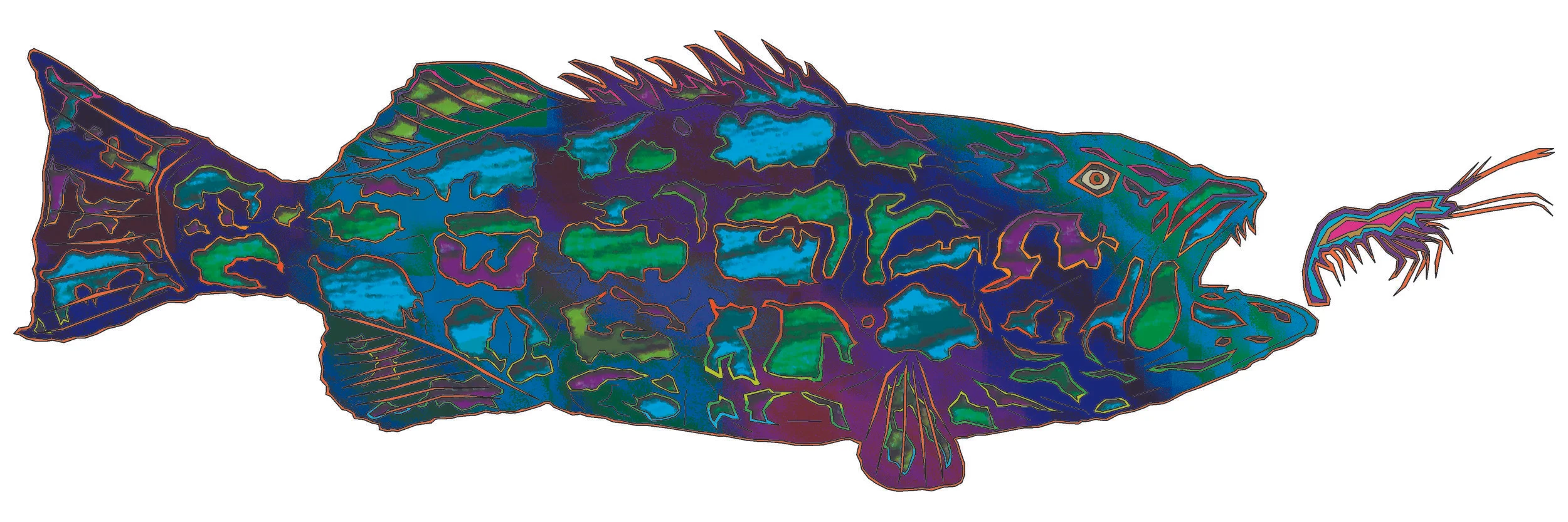 sea bass 36.jpg