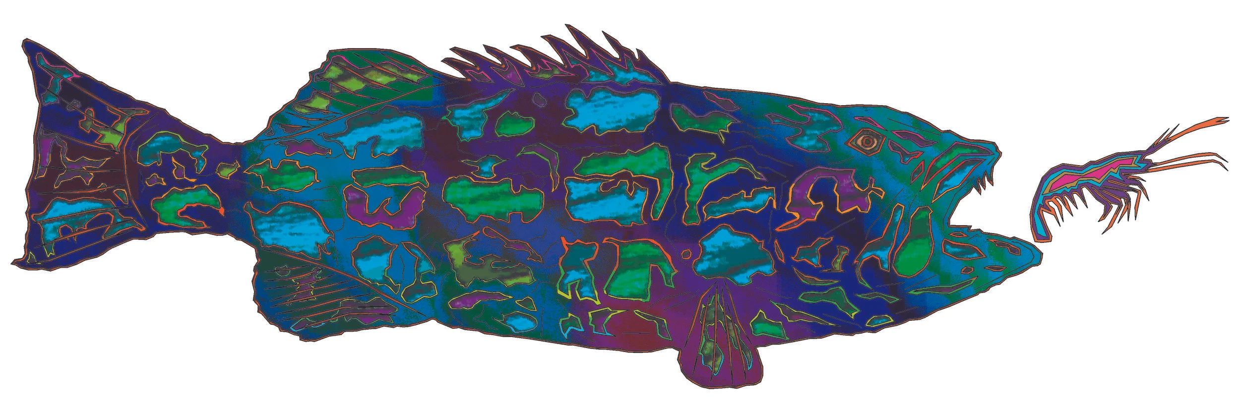 sea bass 49.jpg