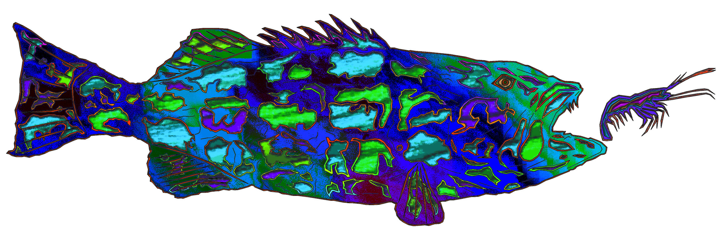 sea bass 50.jpg