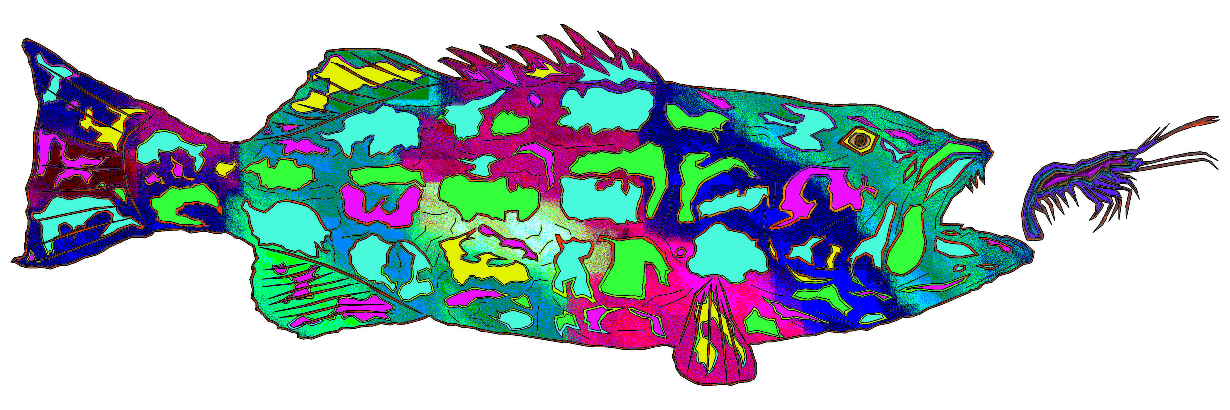 sea bass 54.jpg