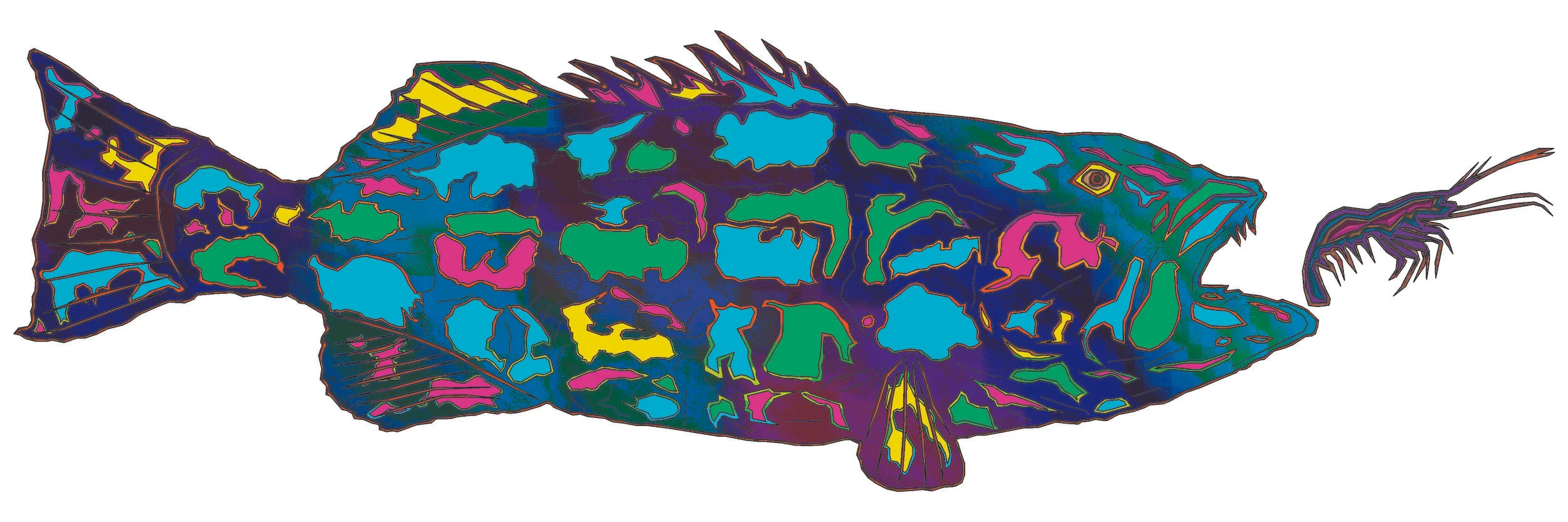 sea bass 55.jpg