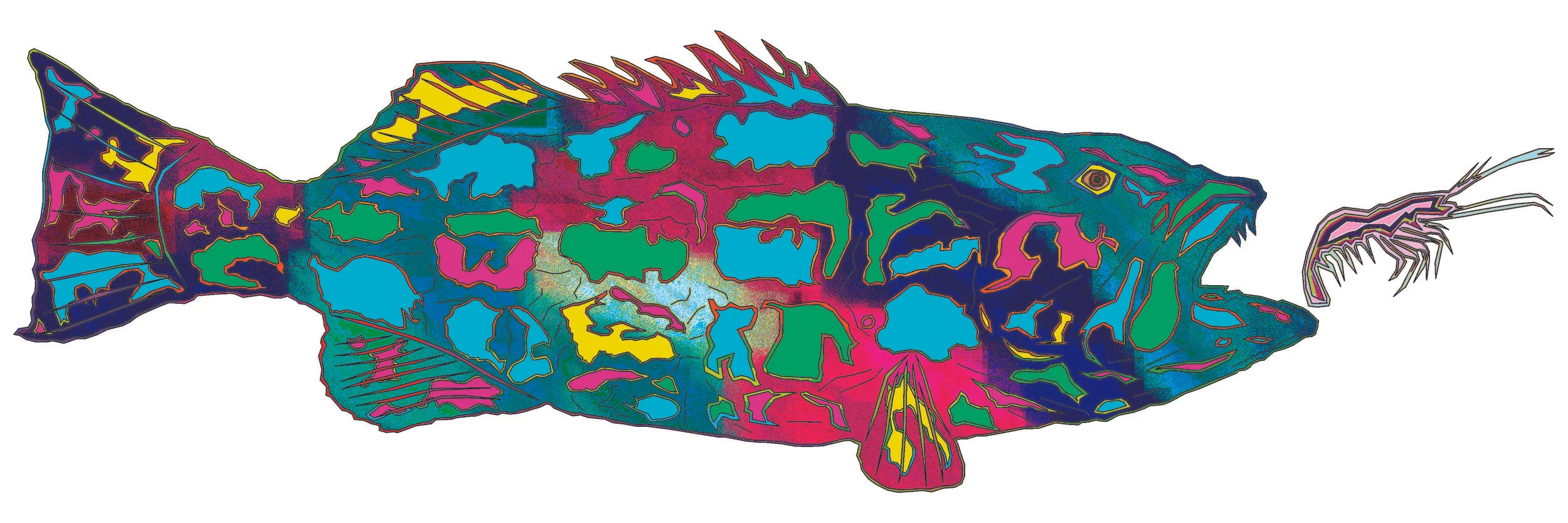 sea bass 57.jpg