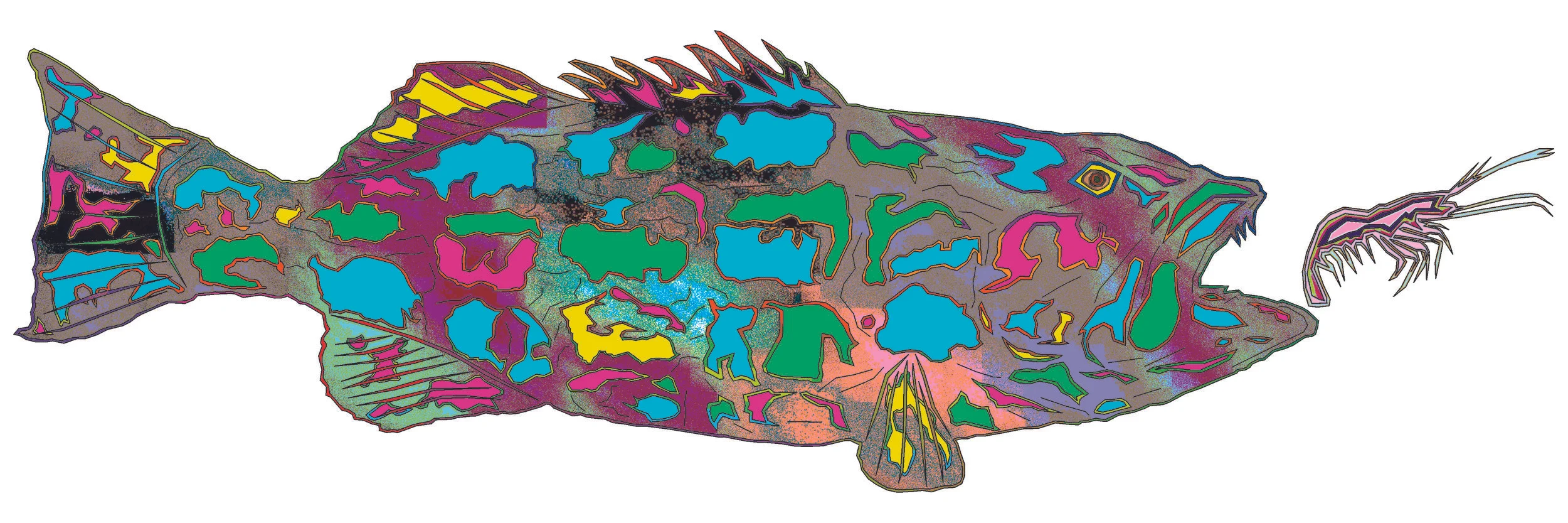 sea bass 59.jpg