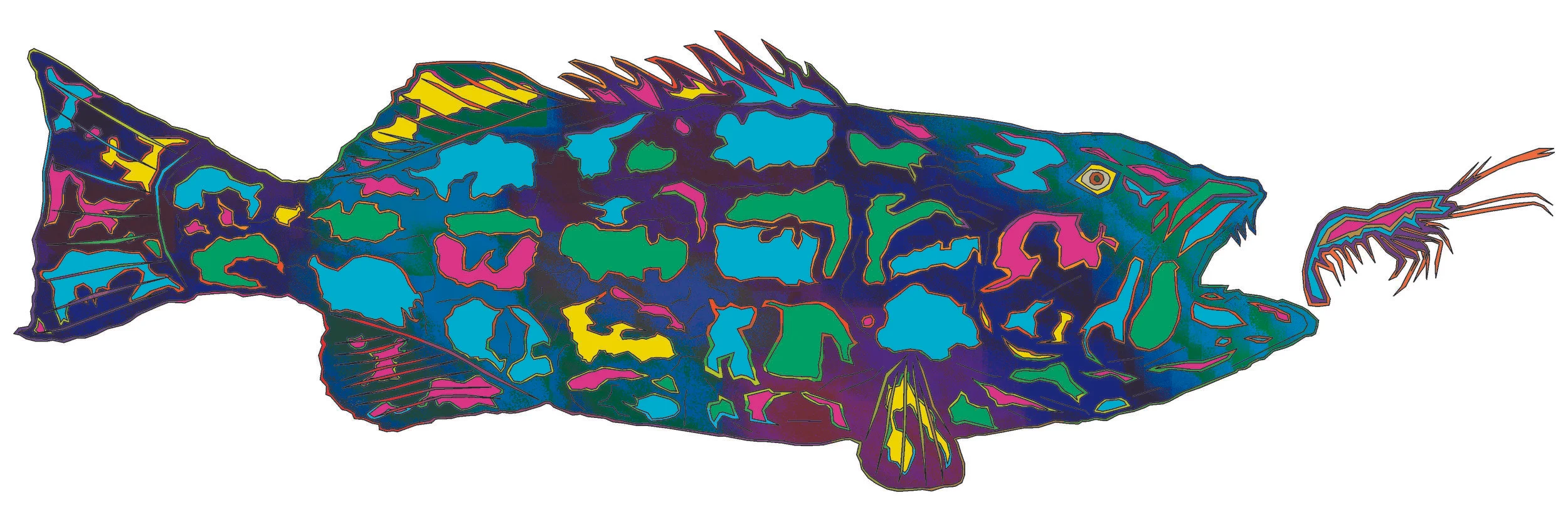 sea bass 69.jpg