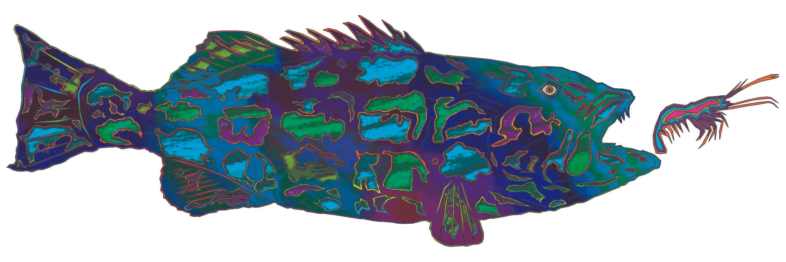 sea bass 74.jpg