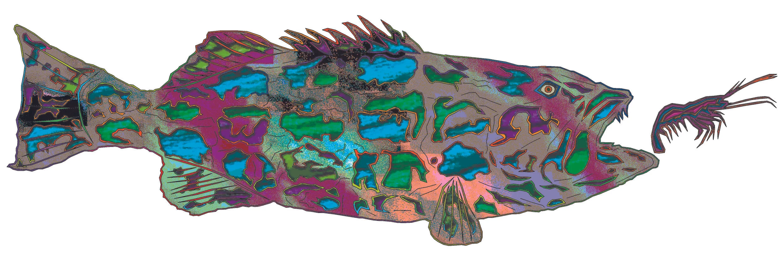 sea bass 76.jpg