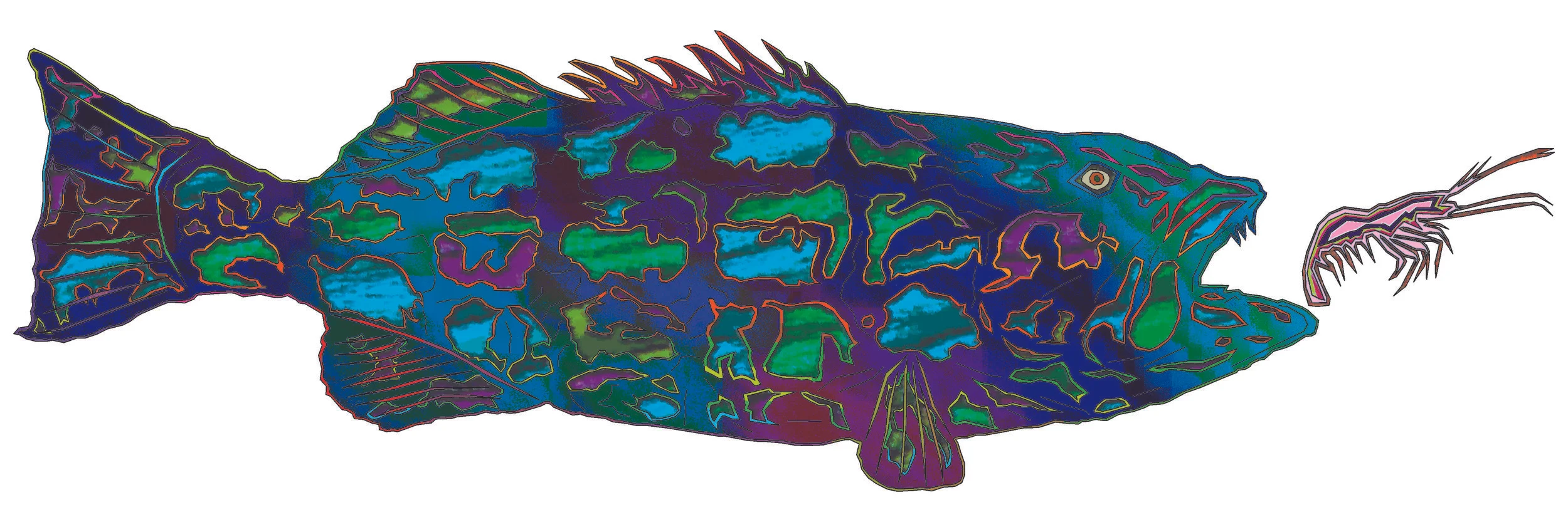 sea bass 79.jpg