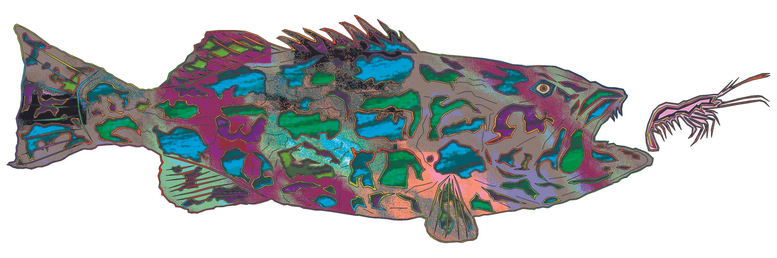 sea bass 80.jpg