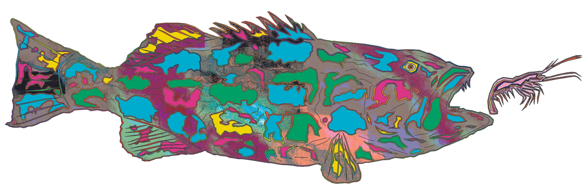 sea bass 81.jpg