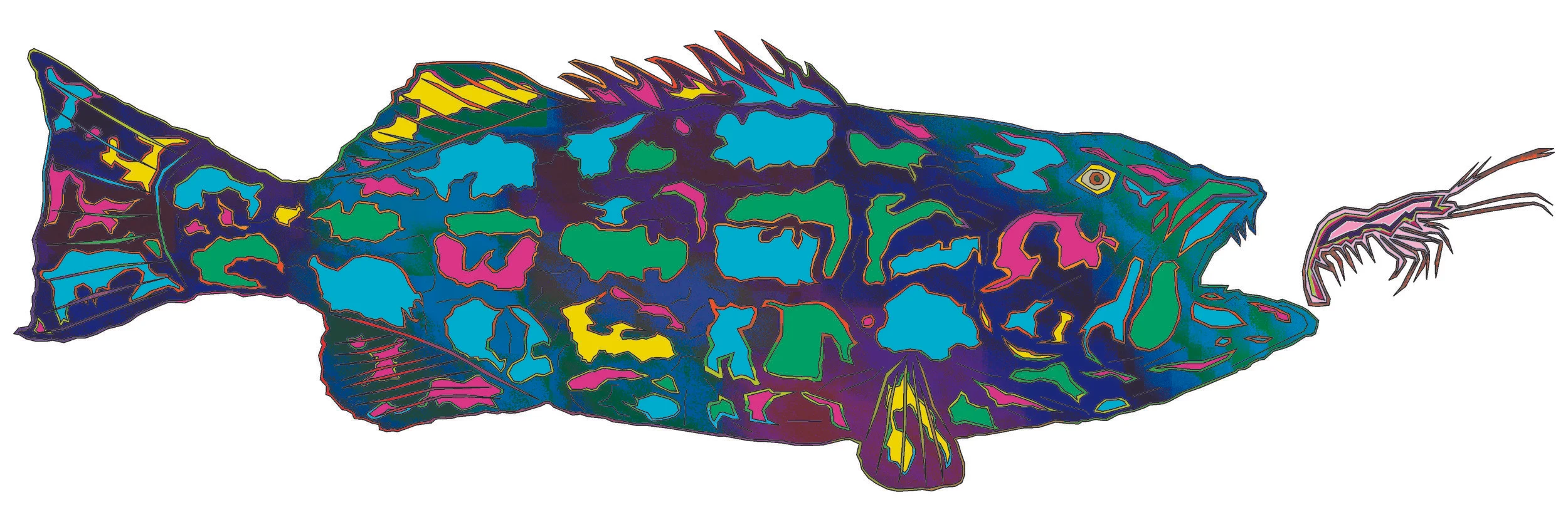 sea bass 83.jpg