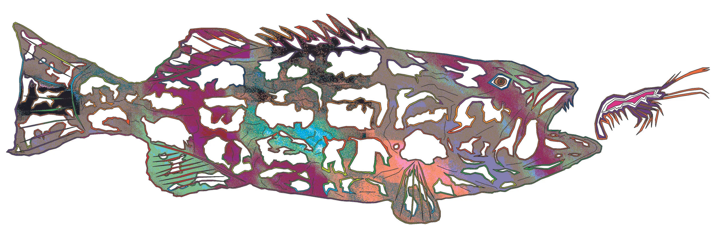sea bass 106.jpg