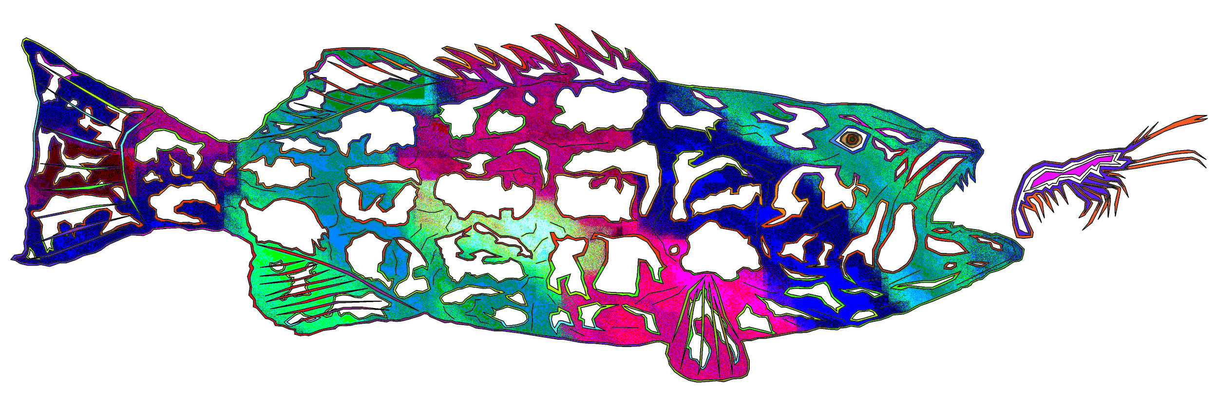 sea bass 107.jpg