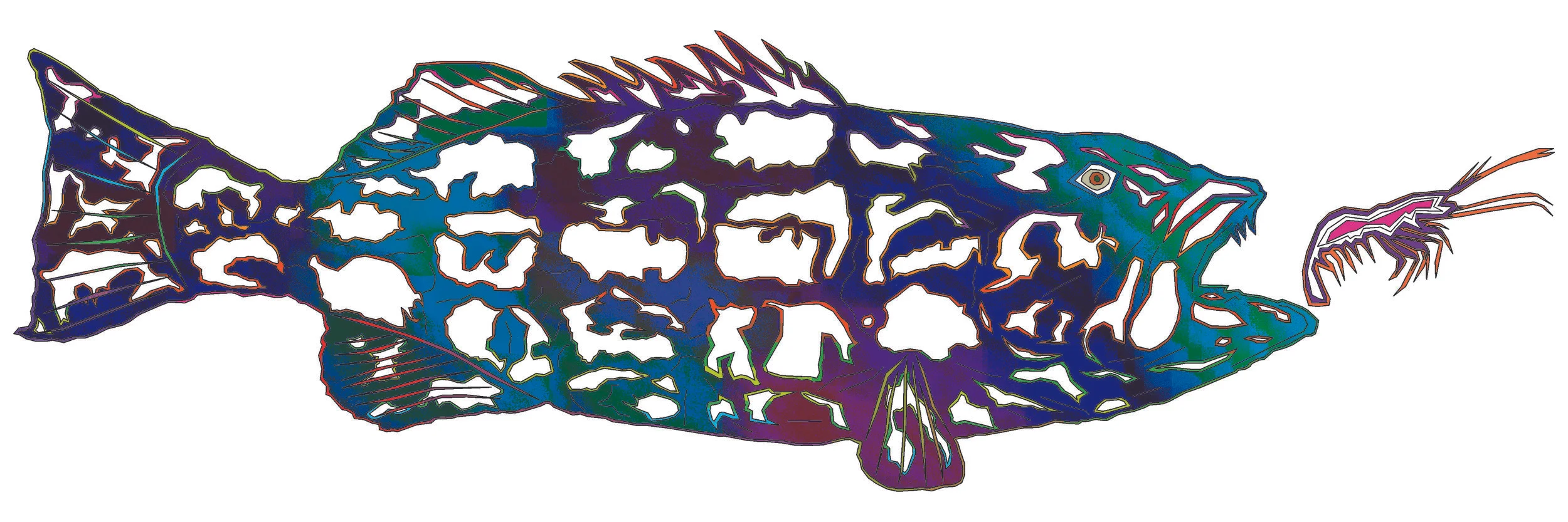 sea bass 108a.jpg