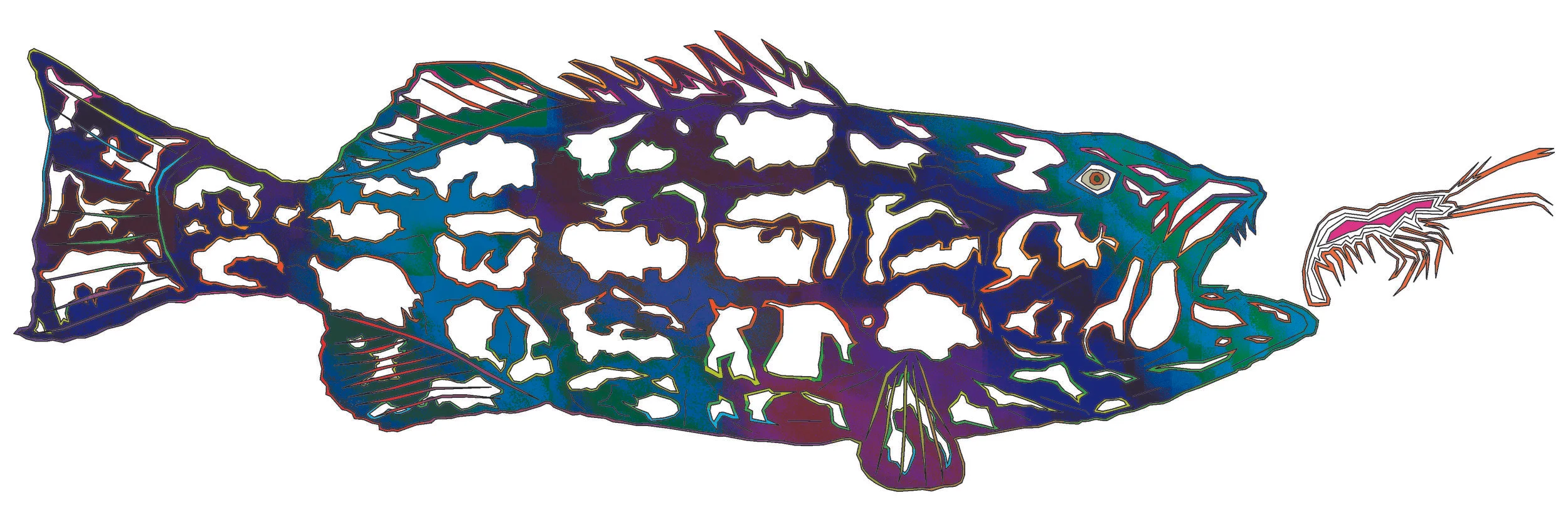 sea bass 111a.jpg
