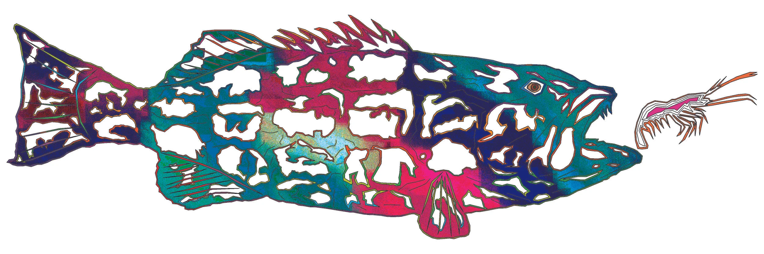 sea bass 112.jpg