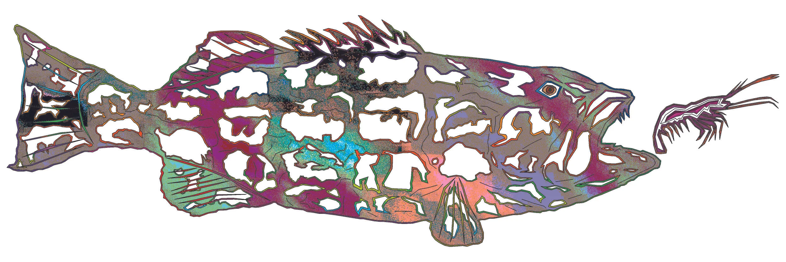 sea bass 118.jpg