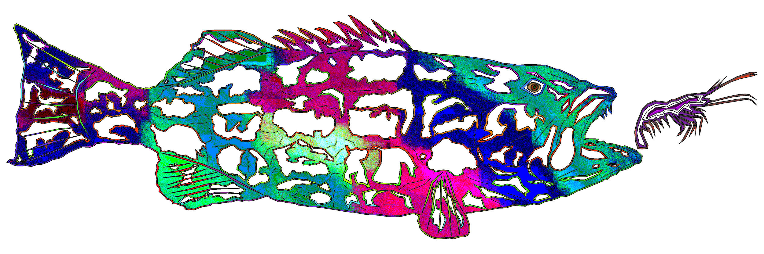 sea bass 121.jpg