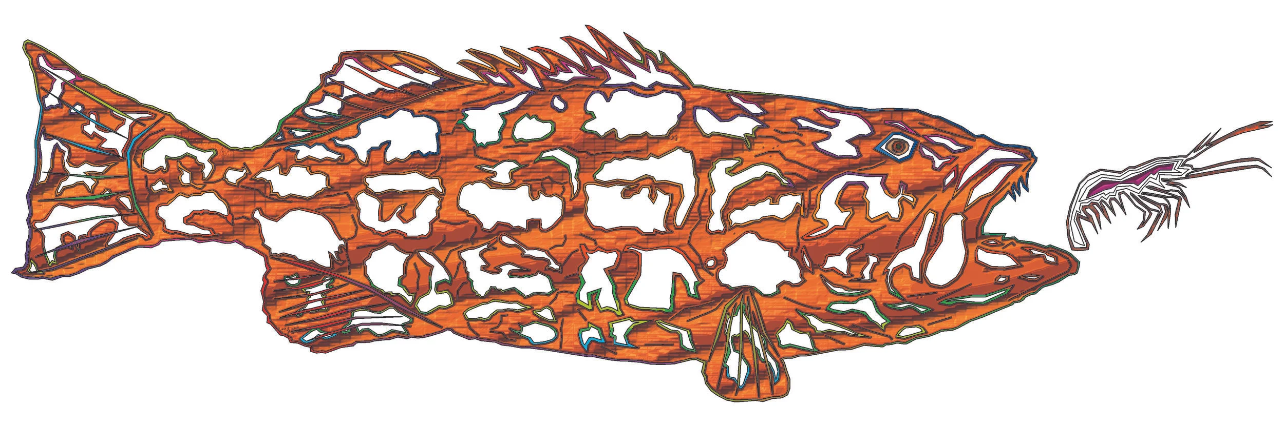 sea bass 124.jpg