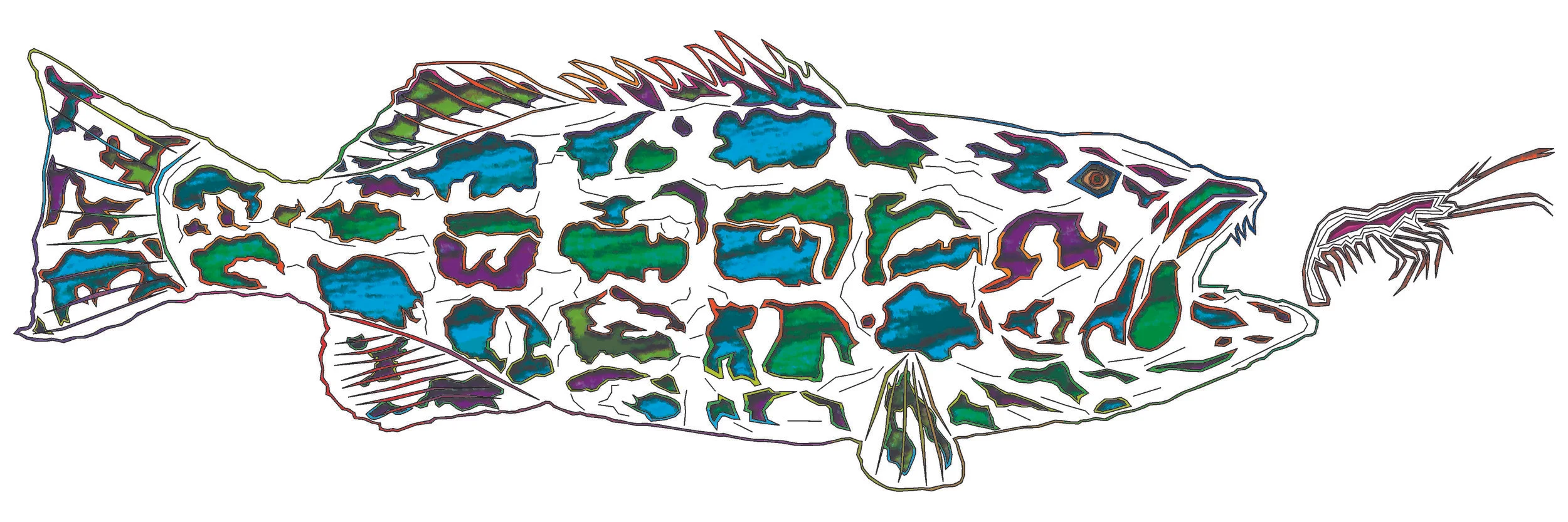sea bass 127.jpg