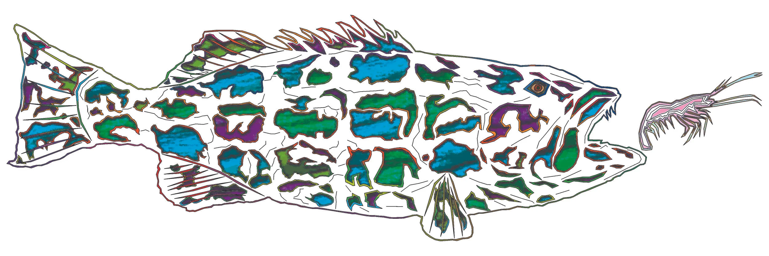 sea bass 129.jpg